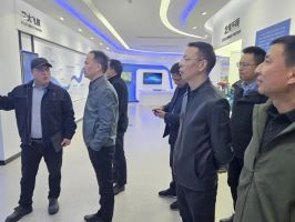 图片11